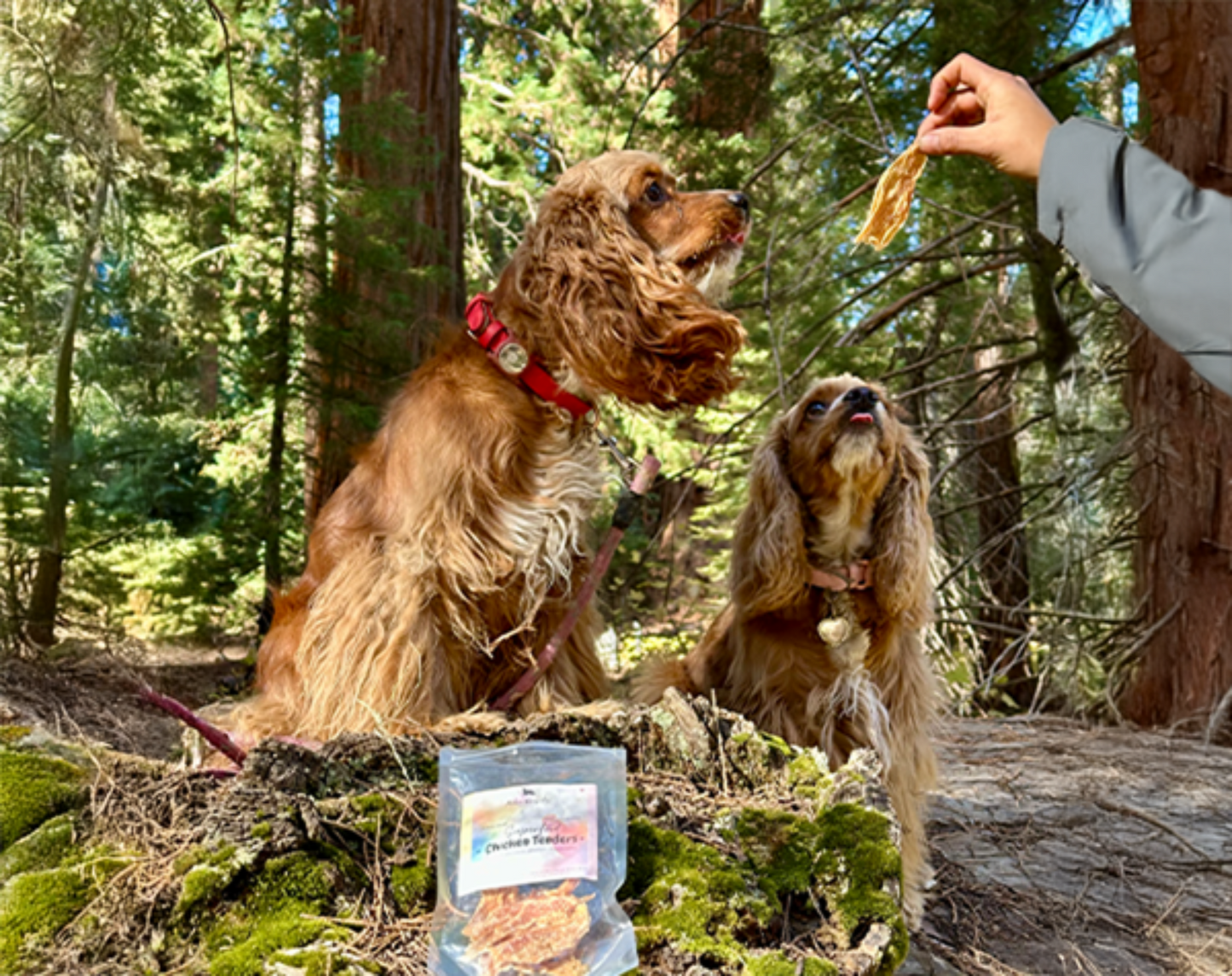Superfood-Dehydrated Chicken Tenders