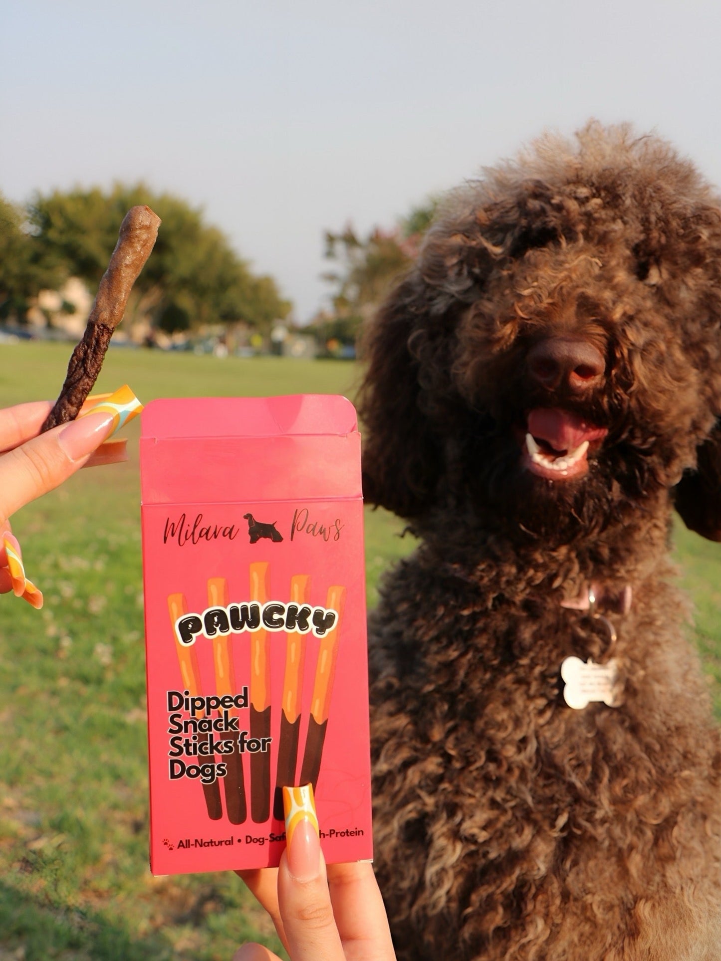 Pawcky™ Gourmet Dog Treat Sticks (Beef or Chicken with Carob & Goat Milk)
