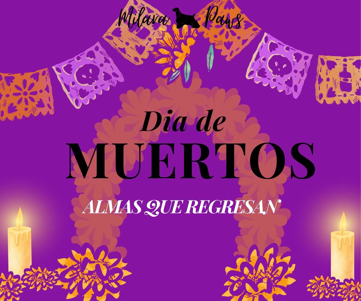 Dia de Los Muertos Workshop