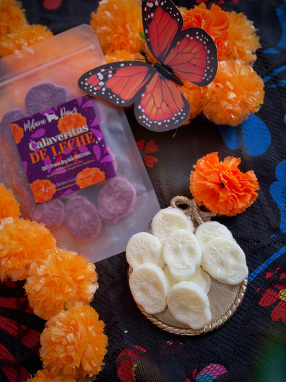 DIA DE MUERTOS Almas que Regresan “ Souls that Return”