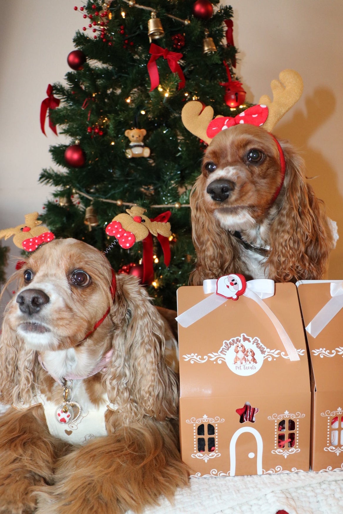 GINGERBREAD HOUSE BOX
