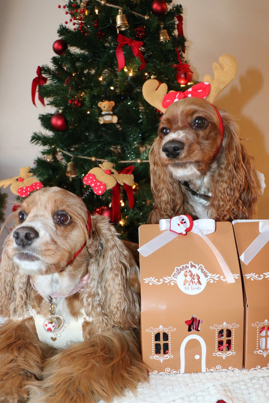 GINGERBREAD HOUSE BOX