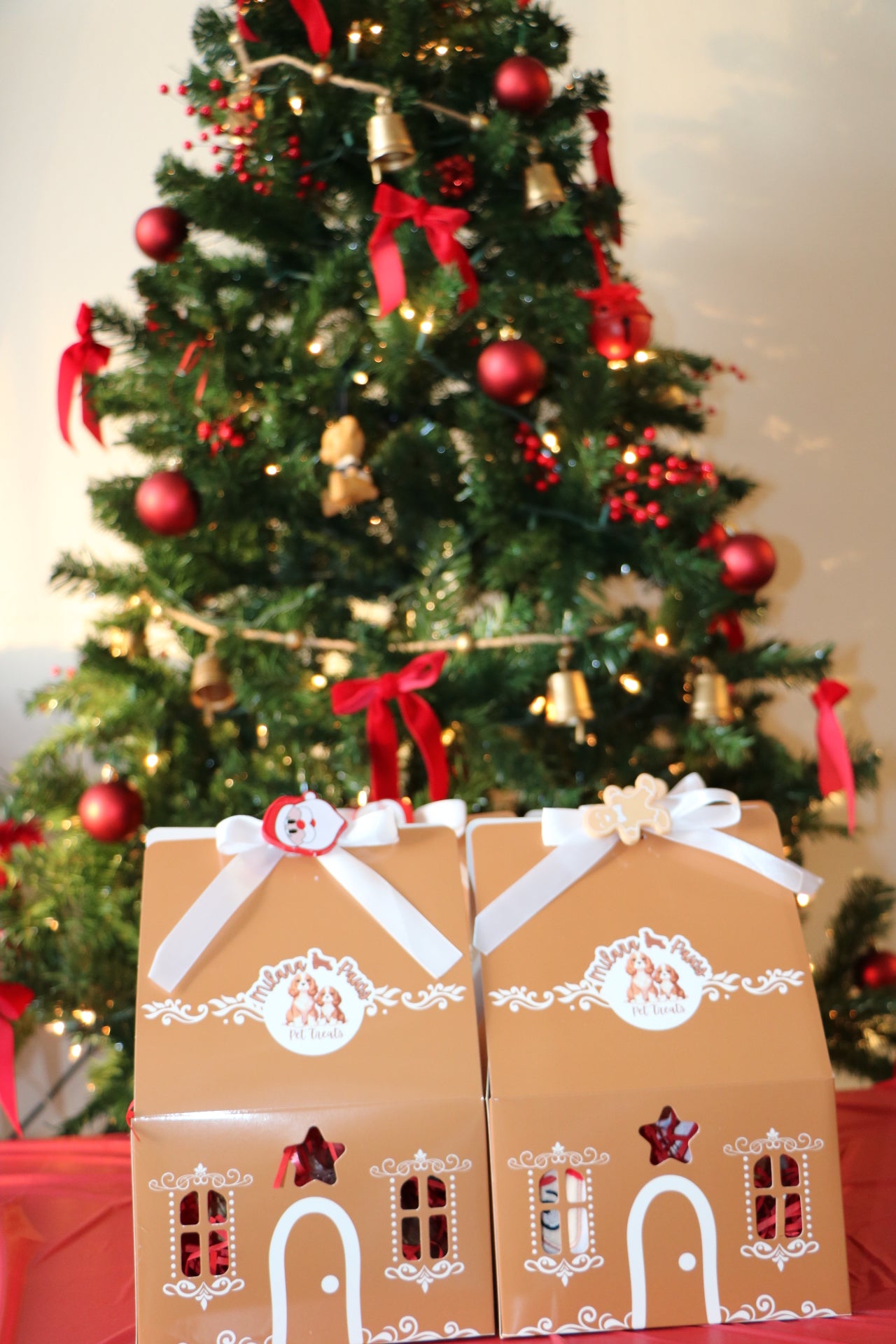 Gift boxes with decorative ribbons in front of a Christmas tree

