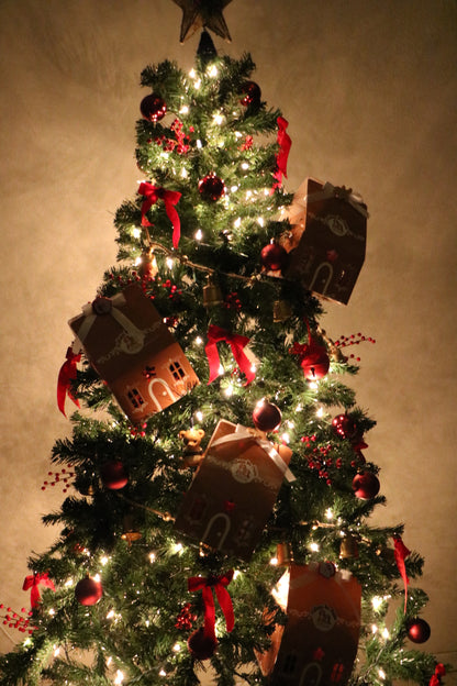 GINGERBREAD HOUSE BOX